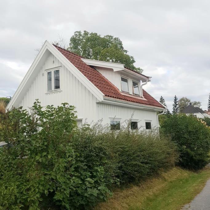 Lys Og Lettstelt Leilighet Med Utsikt Over Byen Apartment ซานเดฟยอร์ด ภายนอก รูปภาพ